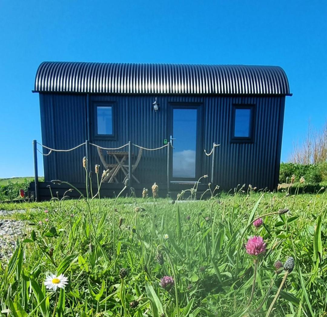 둘린 Wild Meadow Huts 빌라 외부 사진