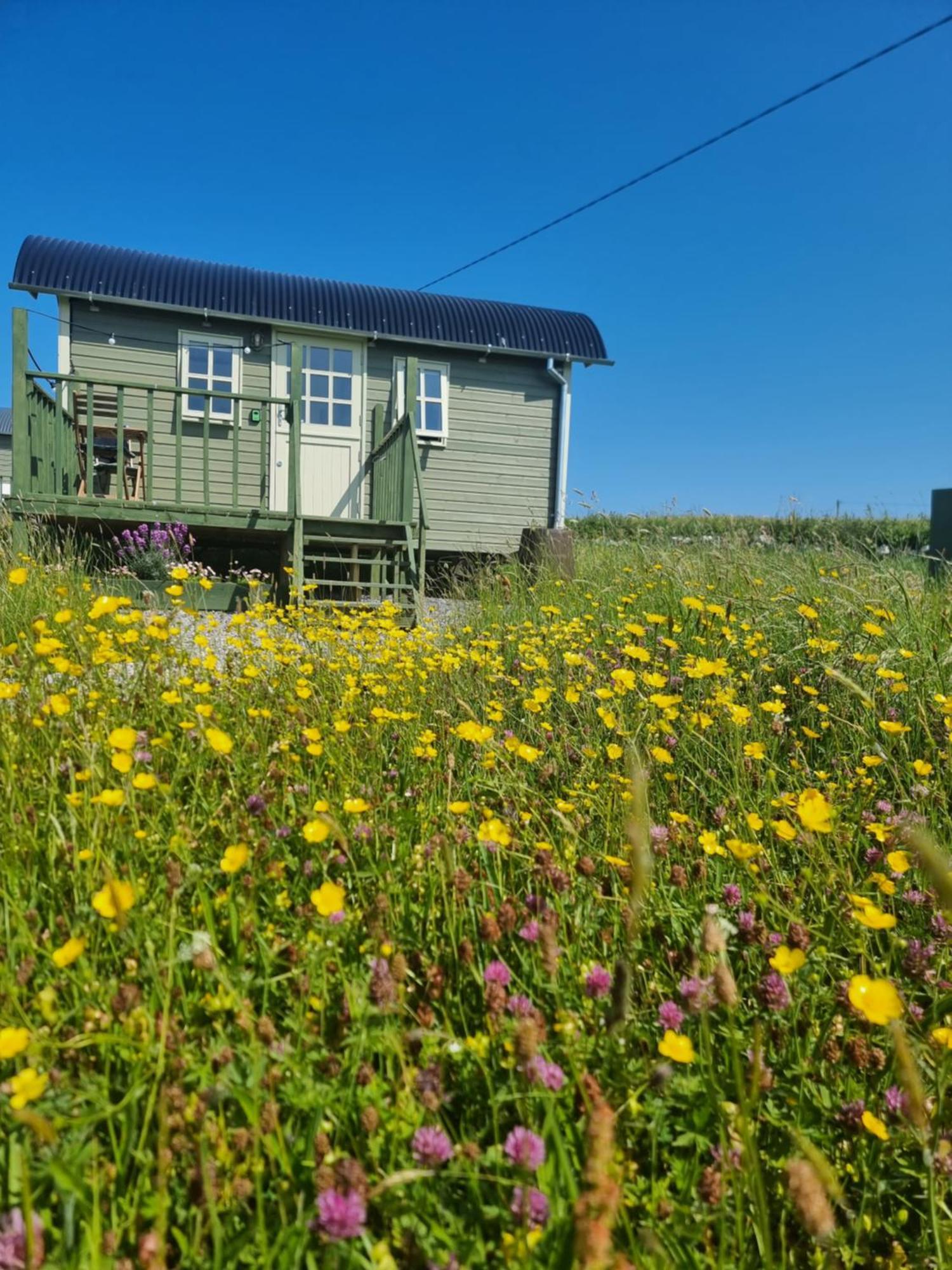 둘린 Wild Meadow Huts 빌라 외부 사진
