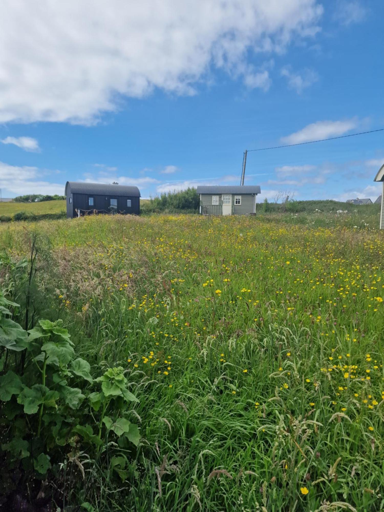 둘린 Wild Meadow Huts 빌라 외부 사진