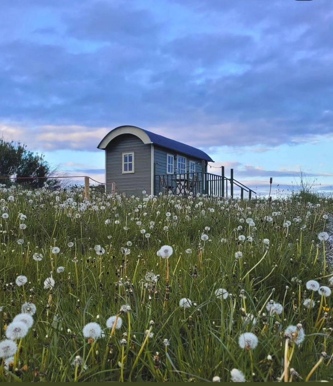 둘린 Wild Meadow Huts 빌라 외부 사진