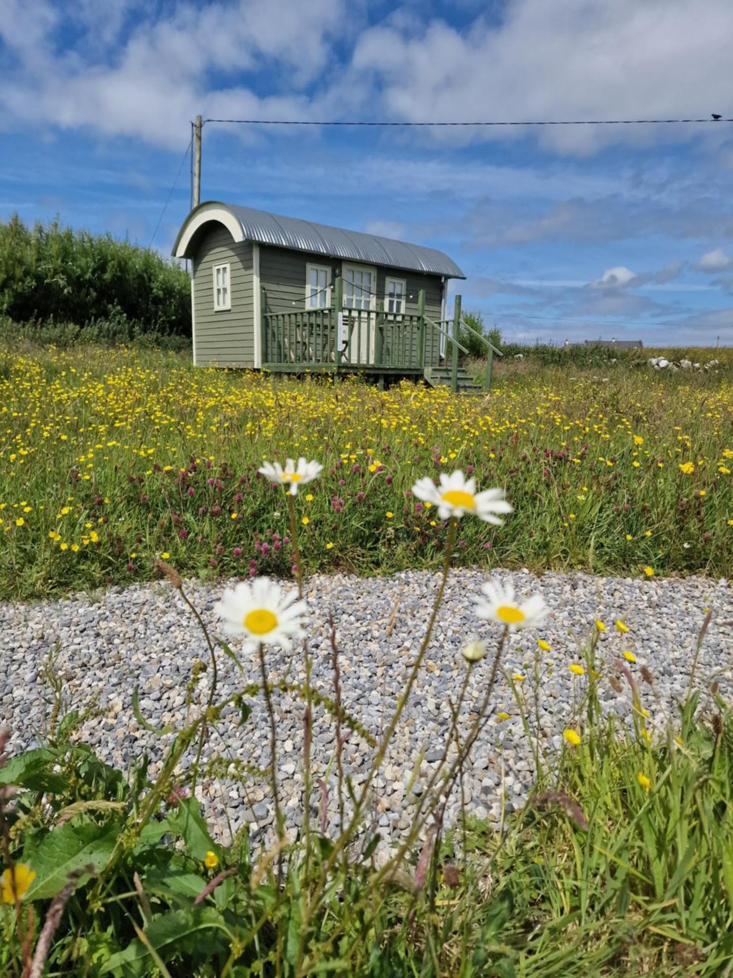 둘린 Wild Meadow Huts 빌라 외부 사진