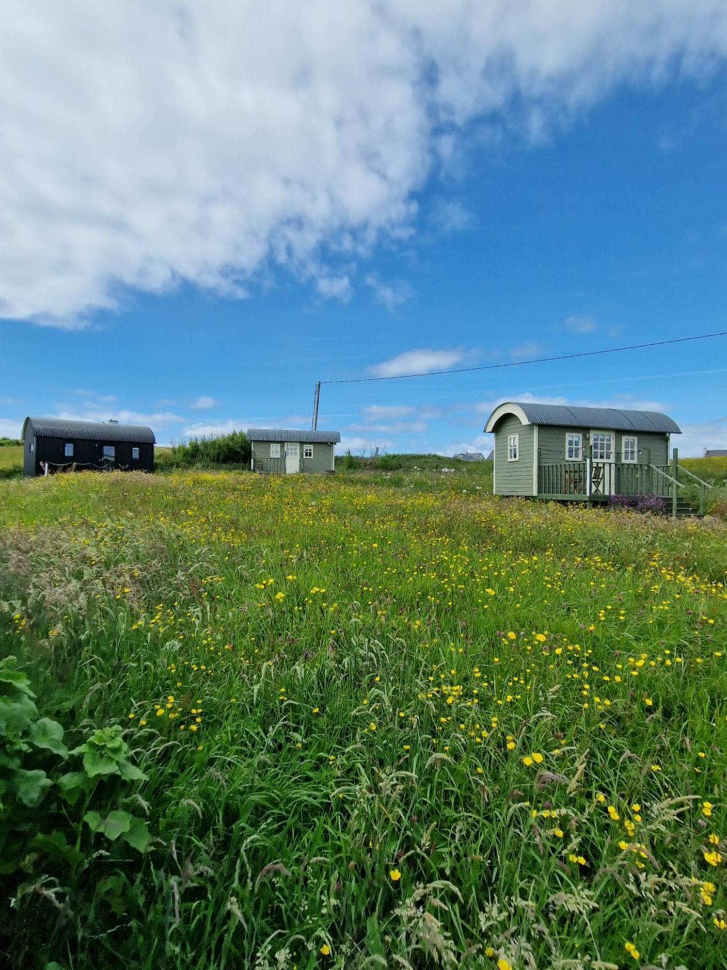 둘린 Wild Meadow Huts 빌라 외부 사진