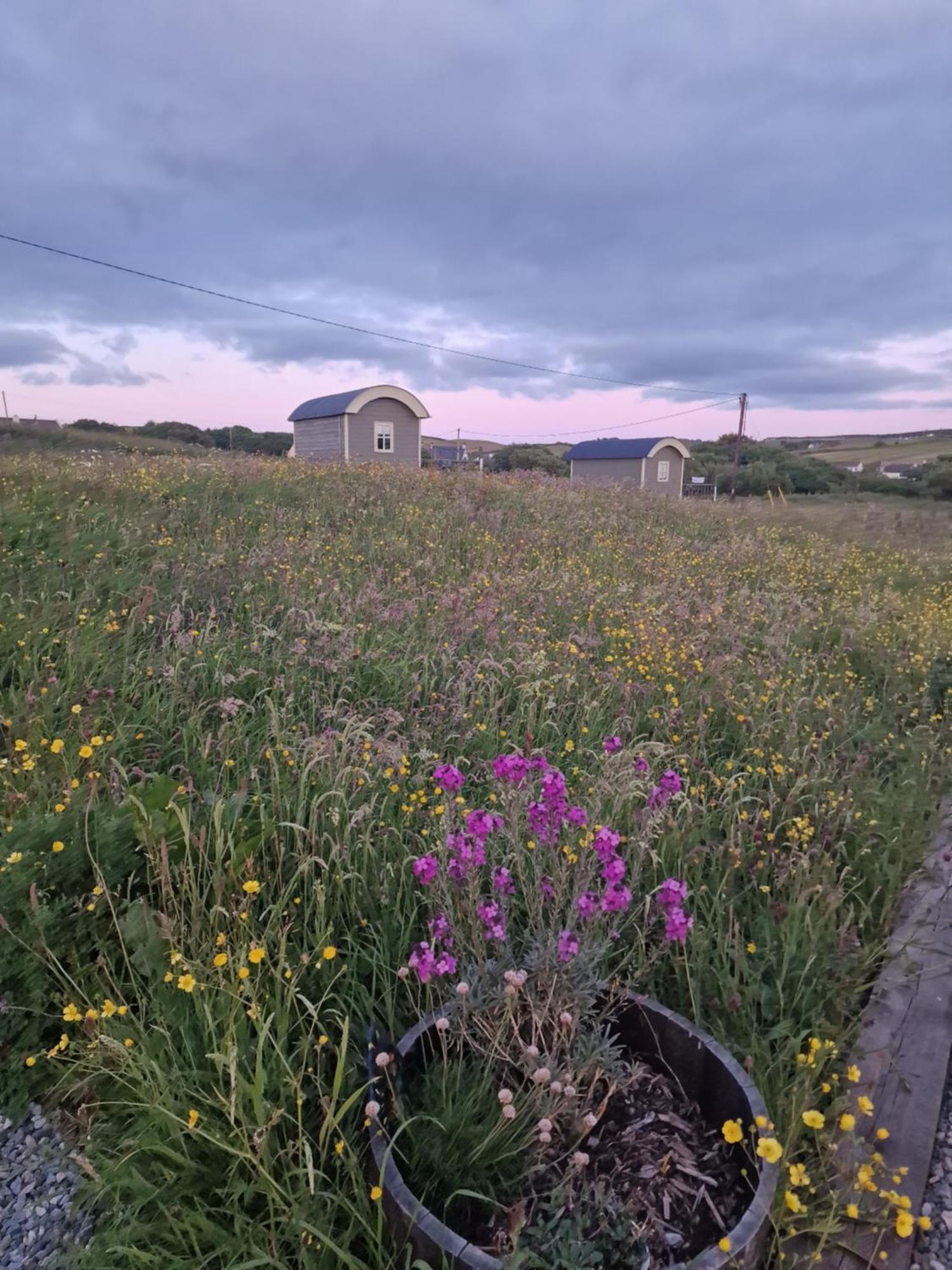 둘린 Wild Meadow Huts 빌라 외부 사진