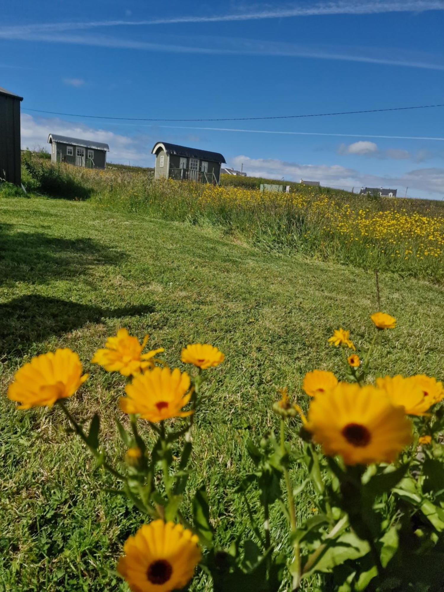 둘린 Wild Meadow Huts 빌라 외부 사진