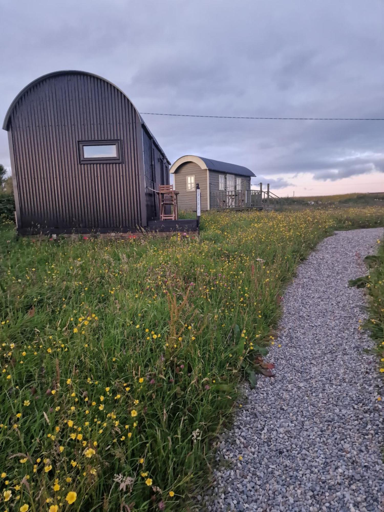 둘린 Wild Meadow Huts 빌라 외부 사진