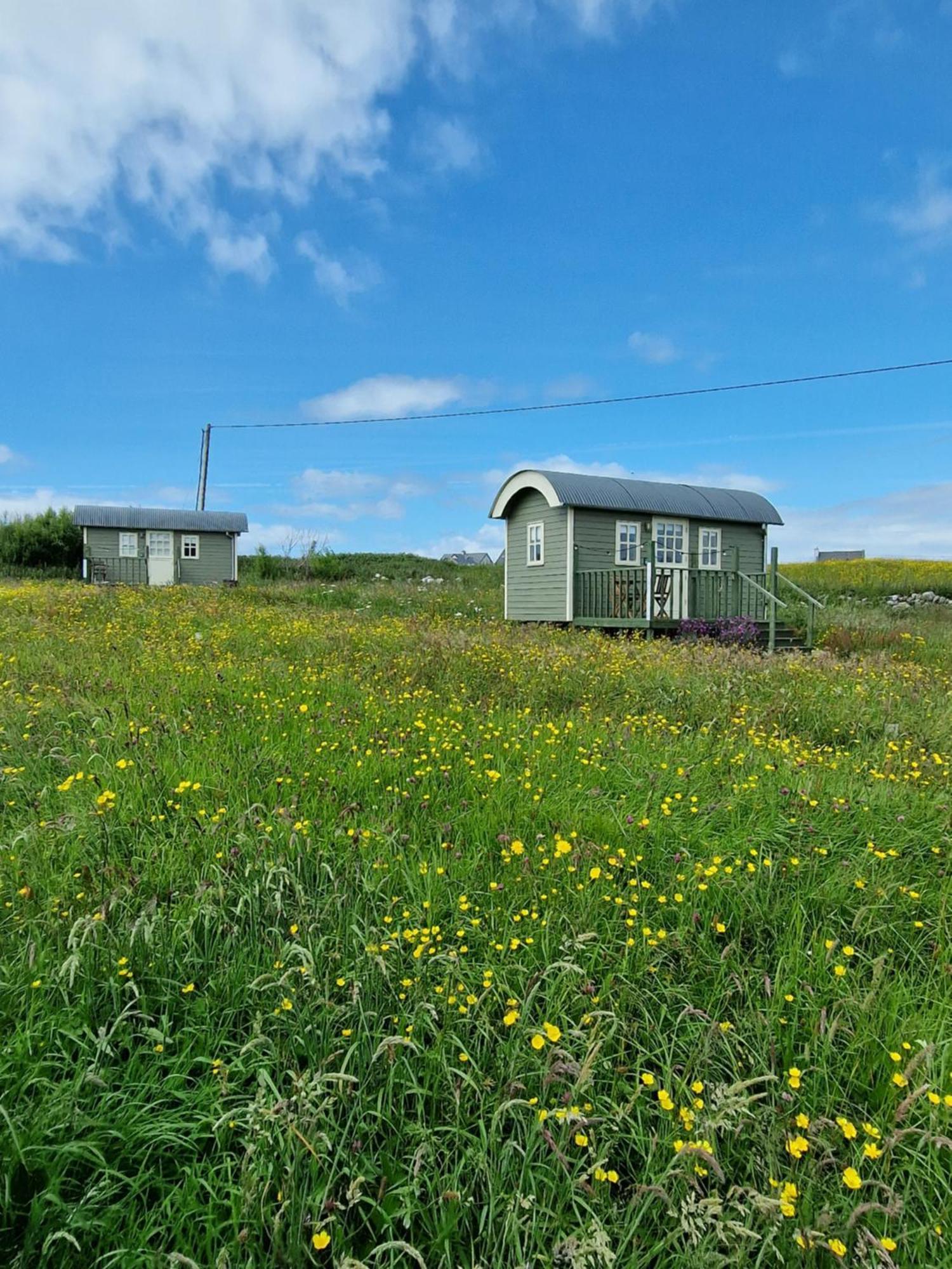 둘린 Wild Meadow Huts 빌라 외부 사진