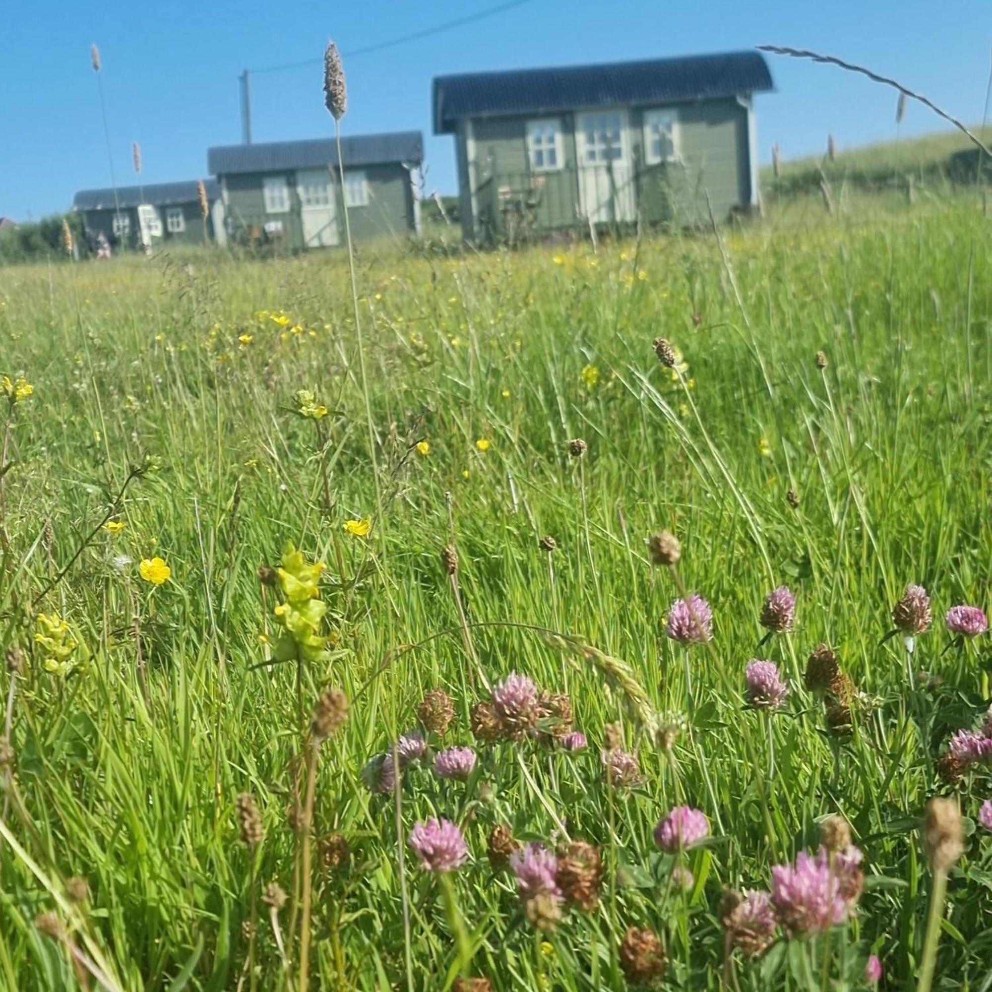 둘린 Wild Meadow Huts 빌라 외부 사진